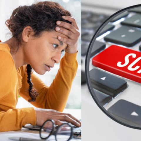 Work From Home Job Scams: How People Lose Lakhs Online