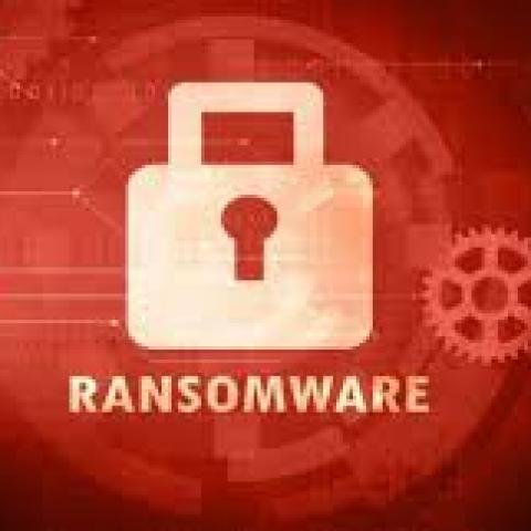 The Rise of Ransomware: How to Protect Your Business in 2025