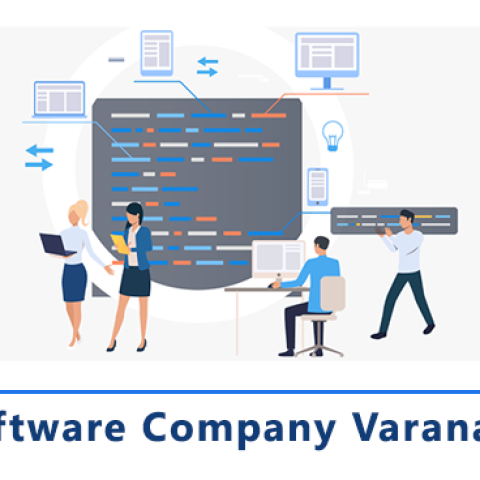 Top 5 Software Development Company In Varanasi